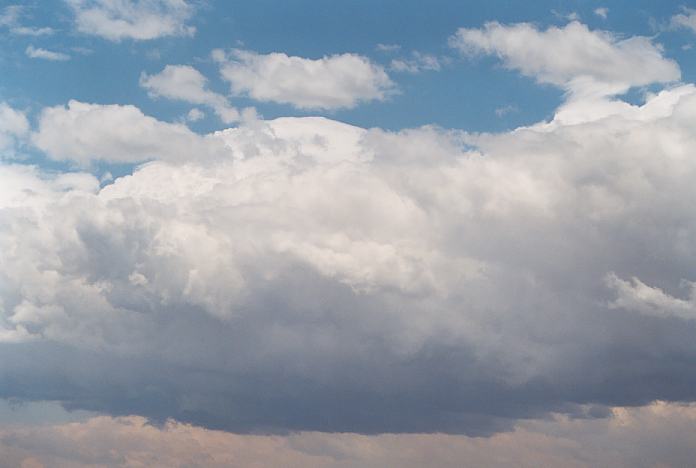 cumulonimbus thunderstorm_base : Schofields, NSW   7 December 2001