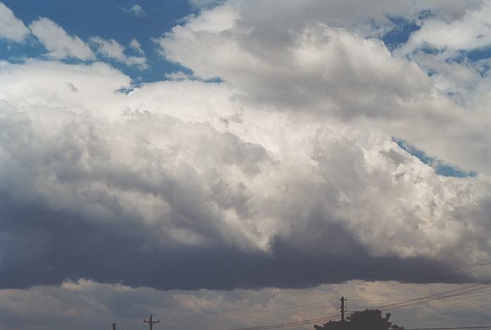 cumulonimbus thunderstorm_base : Schofields, NSW   7 December 2001