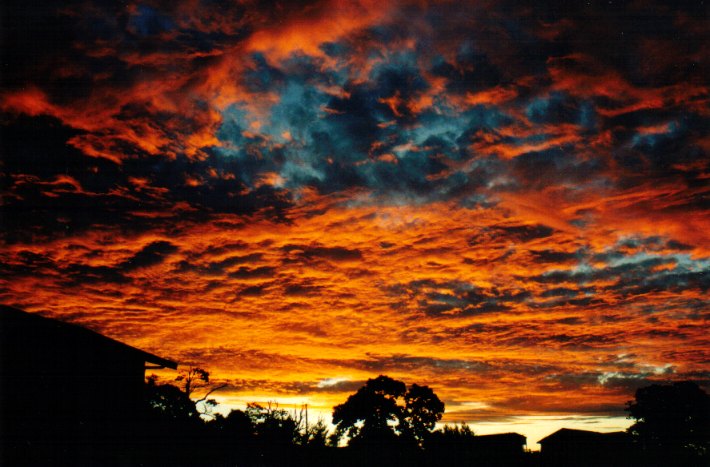 altocumulus altocumulus_cloud : McLeans Ridges, NSW   10 December 2001