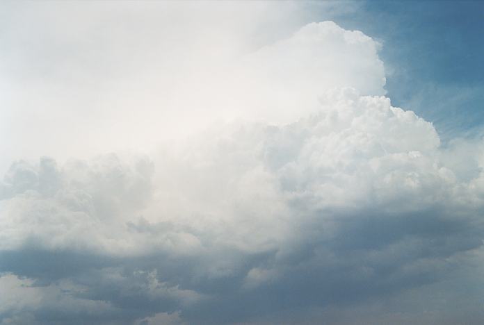 updraft thunderstorm_updrafts : Mulbring, NSW   21 December 2001