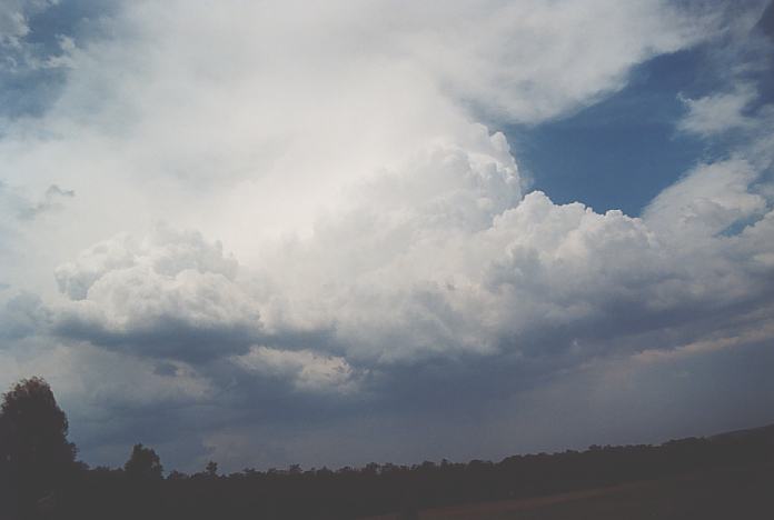 cumulonimbus thunderstorm_base : N of Mulbring, NSW   21 December 2001