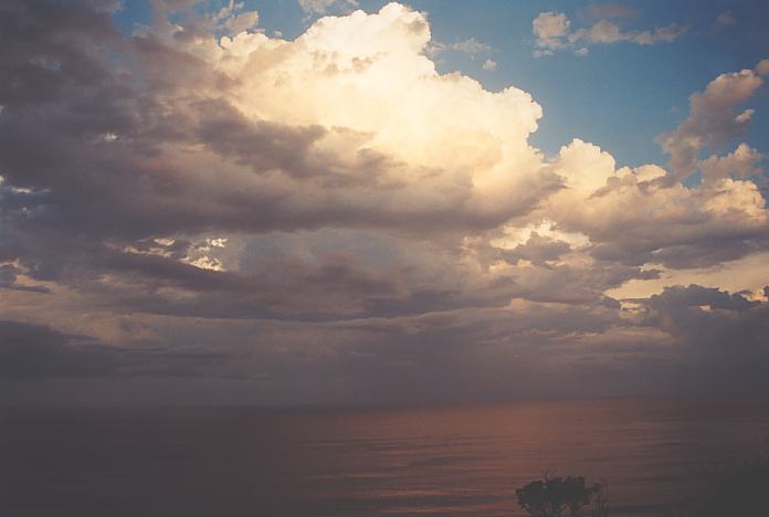 cumulus congestus : Port Macquarie, NSW   22 December 2001