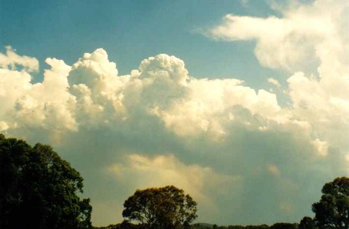 cumulus pyrocumulus : Woodburn, NSW   22 December 2001