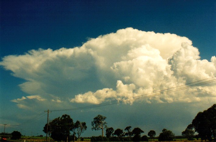 cumulus pyrocumulus : Woodburn, NSW   22 December 2001