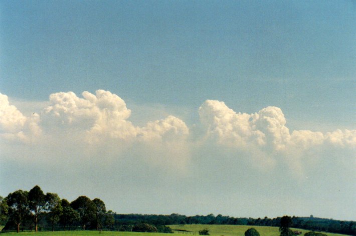 cumulus pyrocumulus : Lindendale, NSW   24 December 2001