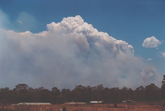 cumulus pyrocumulus : Schofields, NSW   25 December 2001