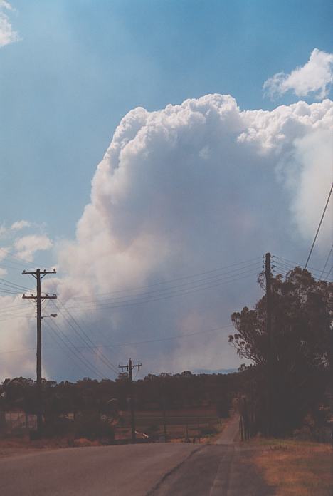 cumulus pyrocumulus : Schofields, NSW   25 December 2001