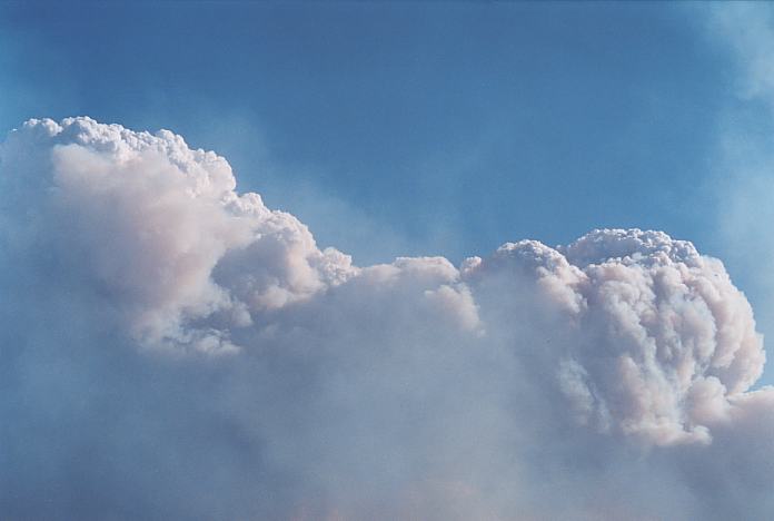 cumulus pyrocumulus : Castlereagh, NSW   25 December 2001