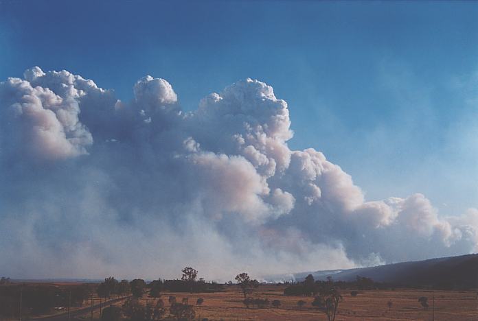 bushfire wild_fire : Castlereagh, NSW   25 December 2001