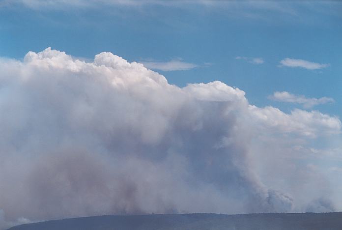 bushfire wild_fire : Kurrajong, NSW   26 December 2001