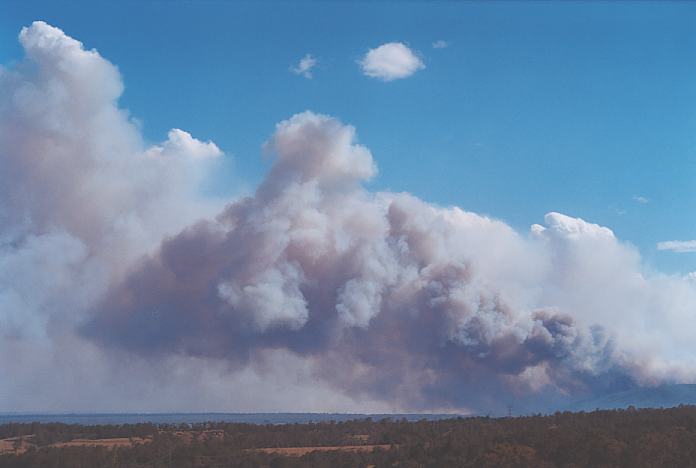 cumulus pyrocumulus : Kurrajong, NSW   26 December 2001