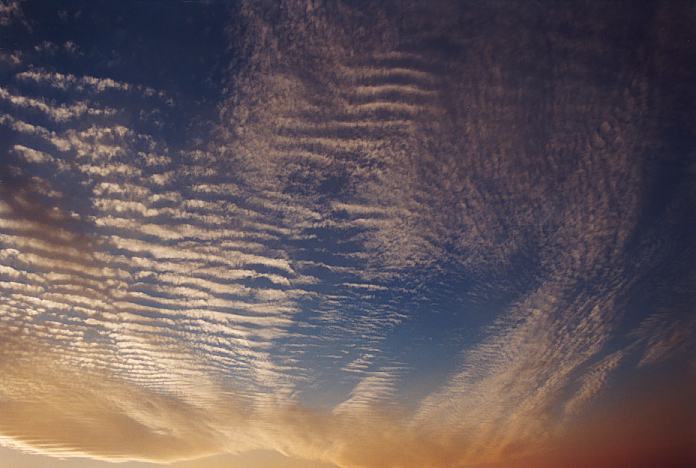 altocumulus undulatus : Schofields, NSW   8 January 2002