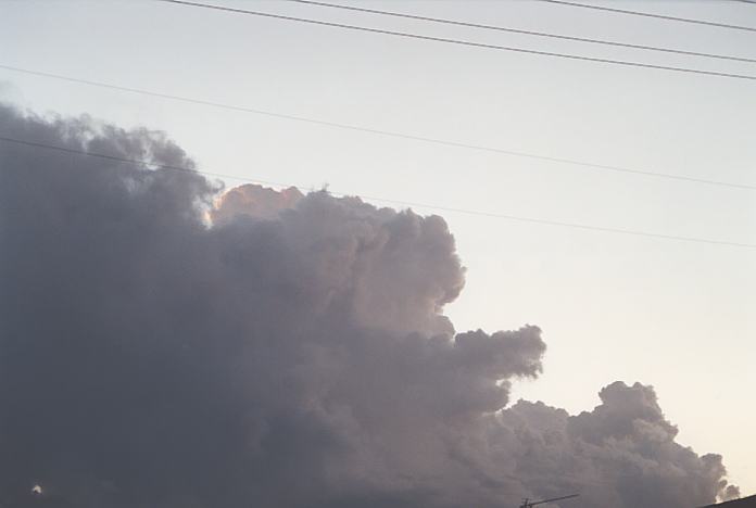 cumulus congestus : Dudley, NSW   8 February 2002