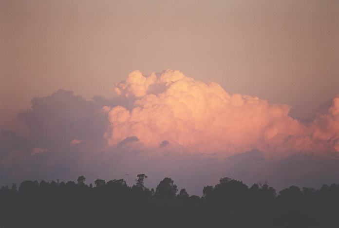 thunderstorm cumulonimbus_calvus : Freeway Wyong, NSW   10 February 2002