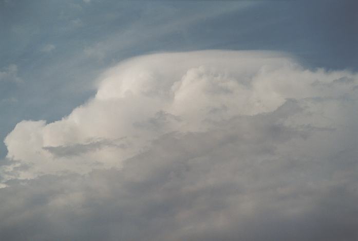 pileus pileus_cap_cloud : Schofields, NSW   19 March 2002