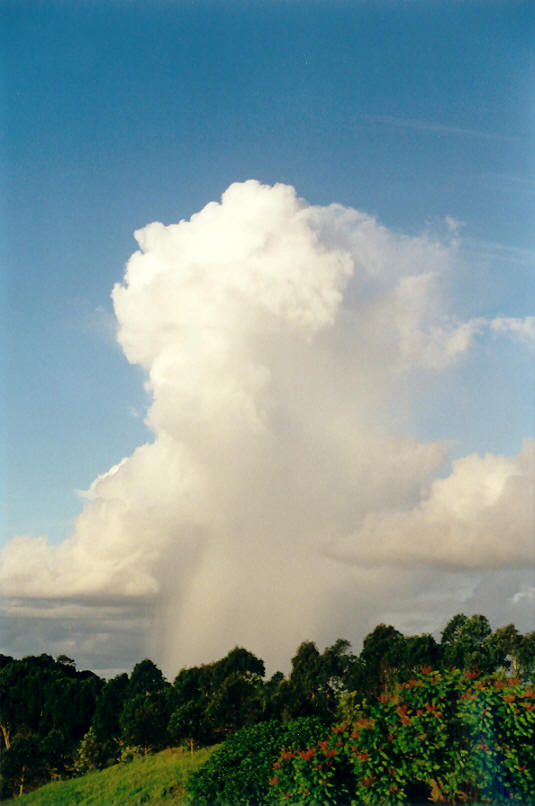 cumulus congestus : McLeans Ridges, NSW   14 April 2002