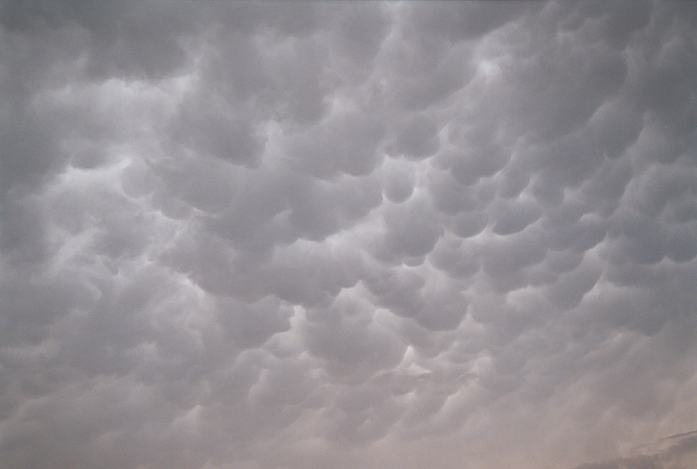 mammatus mammatus_cloud : Lipscomb, Texas, USA   23 May 2002