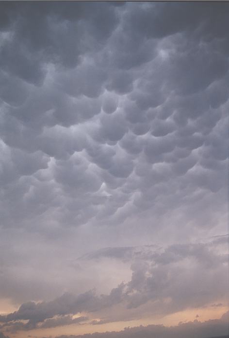 mammatus mammatus_cloud : Lipscomb, Texas, USA   23 May 2002