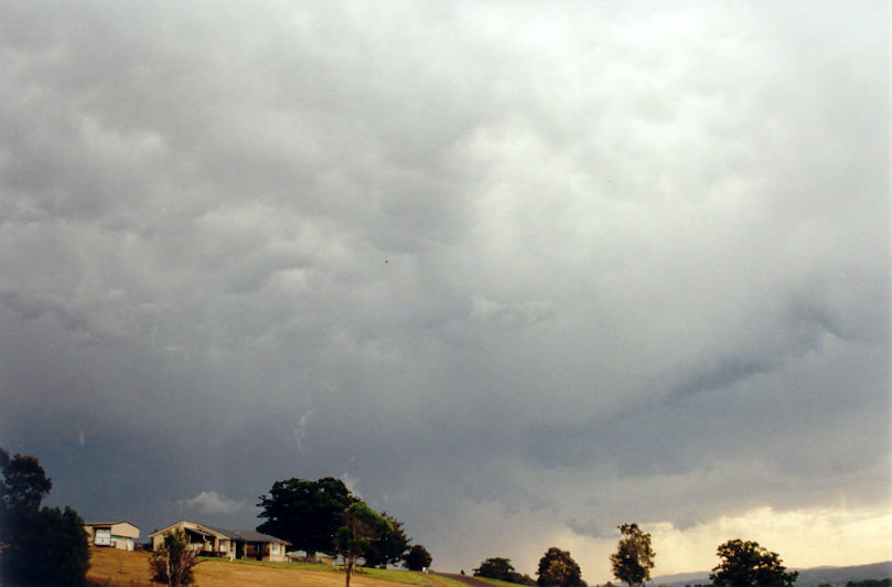 mammatus mammatus_cloud : McLeans Ridges, NSW   23 September 2002