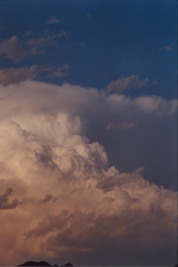 updraft thunderstorm_updrafts : Padstow, NSW   5 October 2002