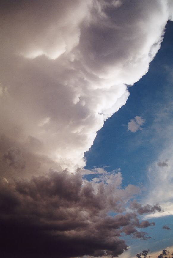 updraft thunderstorm_updrafts : Jerrys Plains, NSW   13 October 2002