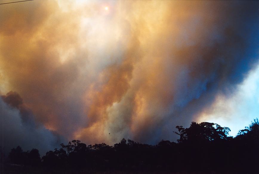 bushfire wild_fire : Glenorie, NSW   4 December 2002