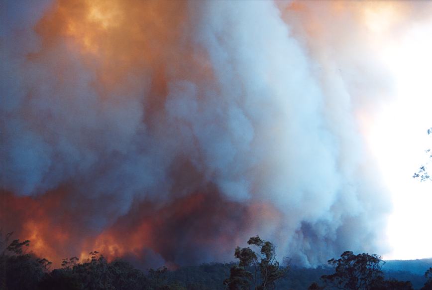 bushfire wild_fire : Glenorie, NSW   4 December 2002