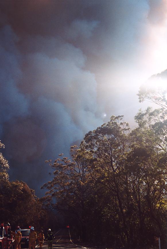 bushfire wild_fire : Glenorie, NSW   4 December 2002