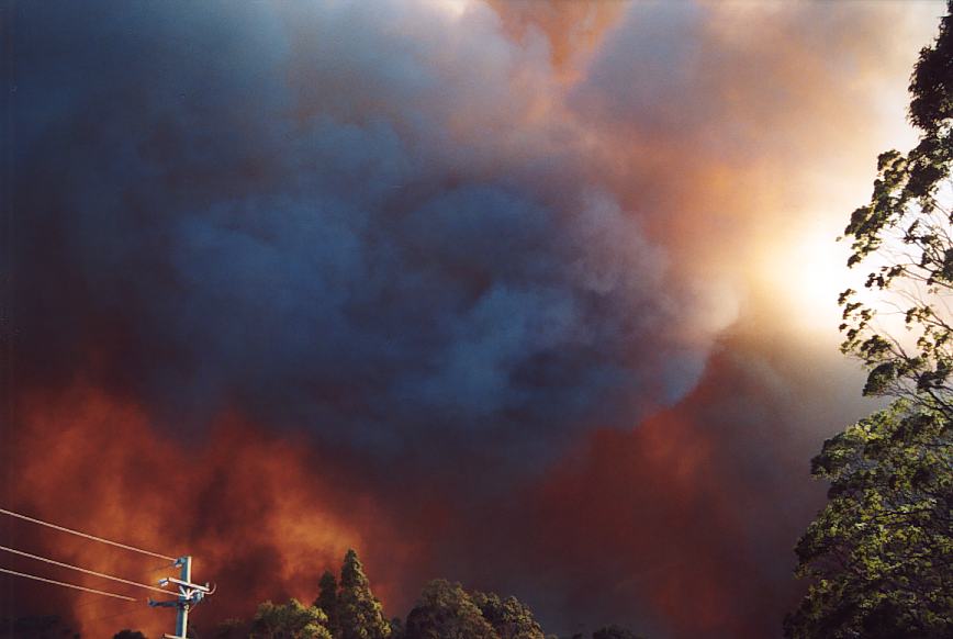 bushfire wild_fire : Glenorie, NSW   4 December 2002