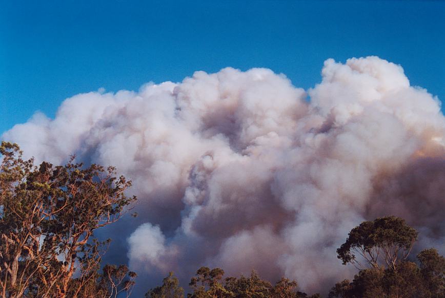 bushfire wild_fire : further N of Glenorie, NSW   4 December 2002