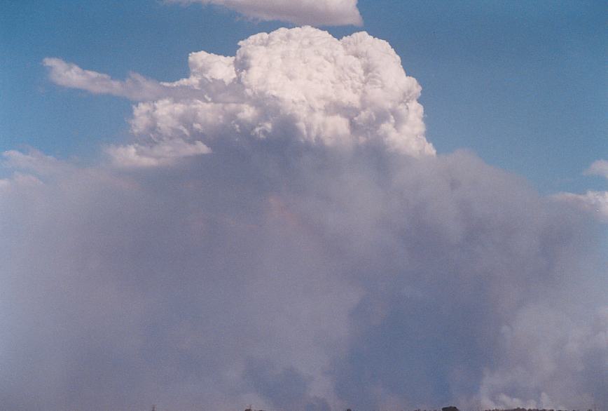 cumulus pyrocumulus : Rooty Hill, NSW   5 December 2002