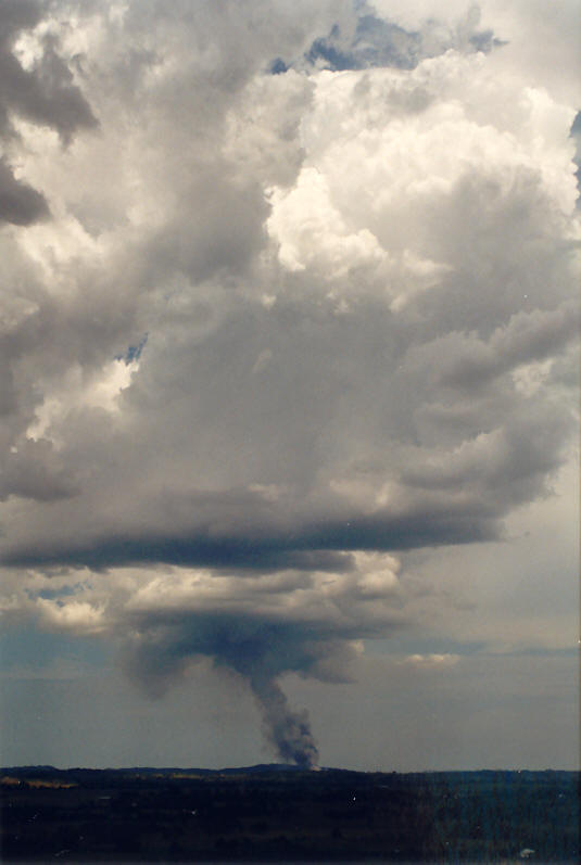 cumulus pyrocumulus : Parrots Nest, NSW   15 December 2002