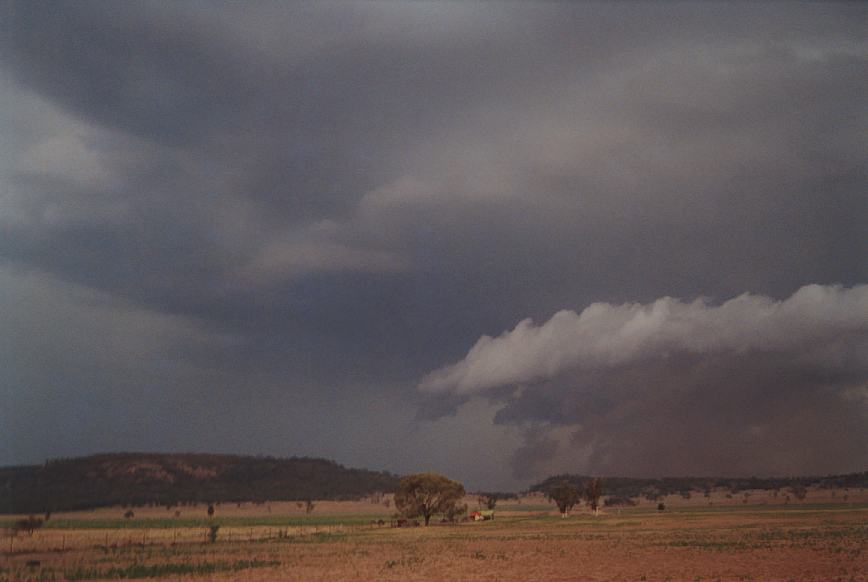 cumulonimbus supercell_thunderstorm : N of Boggabri, NSW   23 December 2002