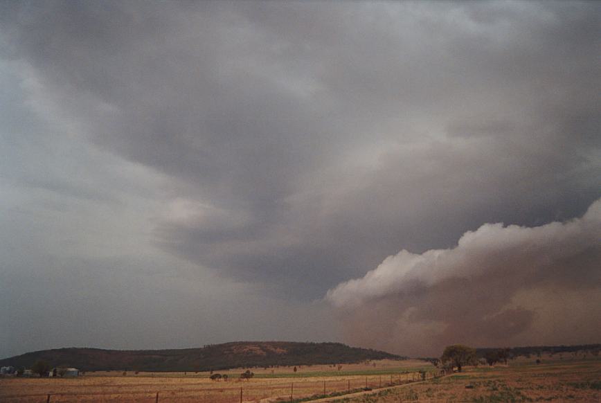 cumulonimbus supercell_thunderstorm : N of Boggabri, NSW   23 December 2002