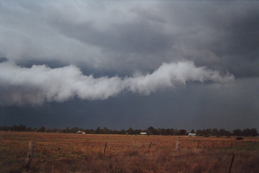 cumulonimbus thunderstorm_base : Narrabri, NSW   23 December 2002