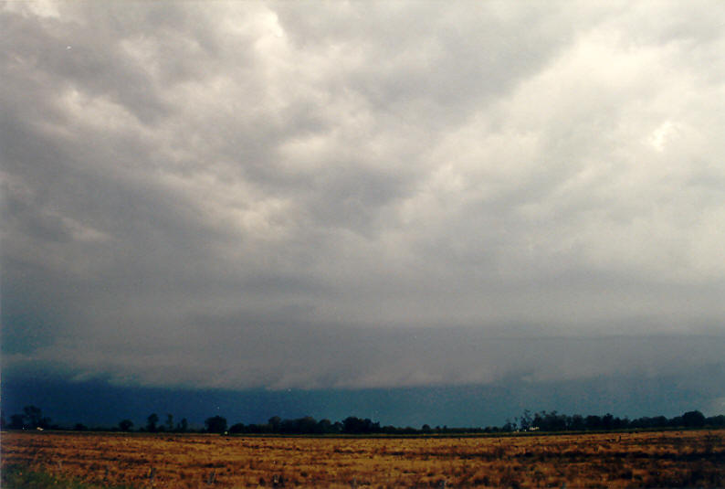 shelfcloud shelf_cloud : Coraki, NSW   24 December 2002