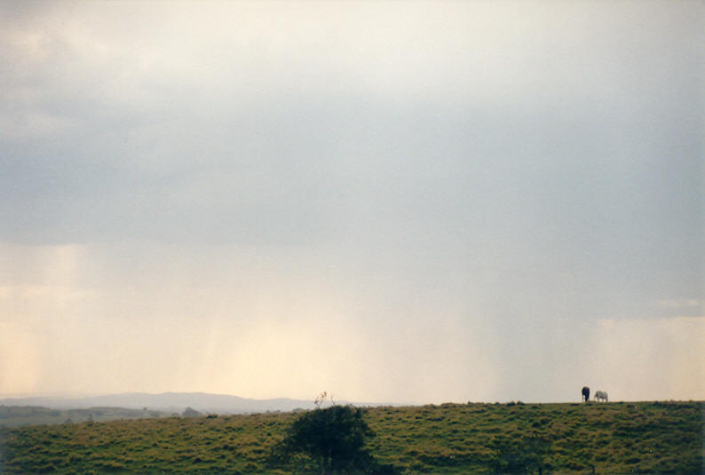 raincascade precipitation_cascade : Parrots Nest, NSW   8 January 2003