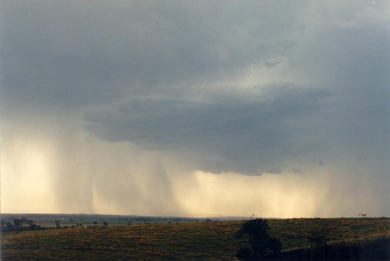 raincascade precipitation_cascade : Parrots Nest, NSW   8 January 2003