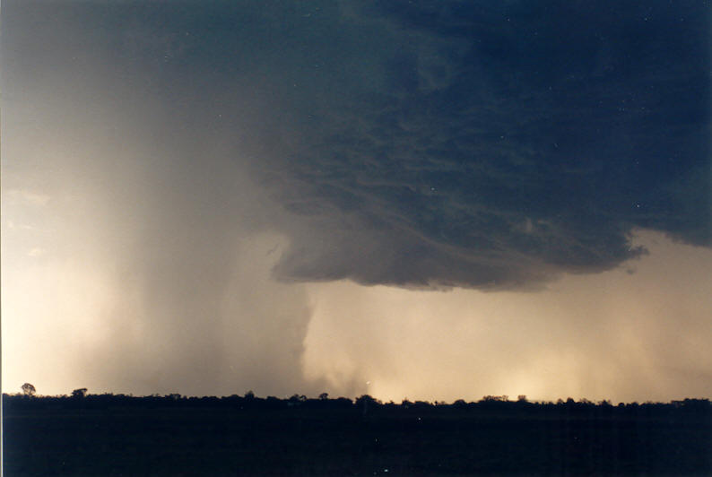 microburst micro_burst : Parrots Nest, NSW   8 January 2003