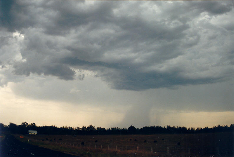 raincascade precipitation_cascade : Kyogle, NSW   19 January 2003