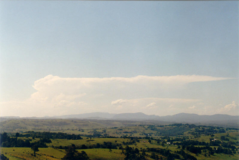 anvil thunderstorm_anvils : McLeans Ridges, NSW   13 February 2003