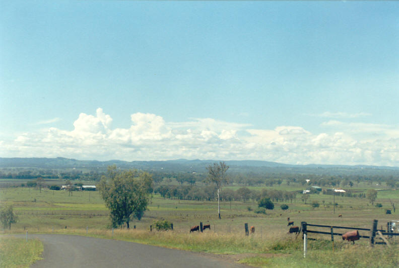 cumulus congestus : SE QLD   23 February 2003
