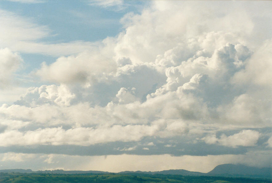 cumulonimbus thunderstorm_base : McLeans Ridges, NSW   23 February 2003