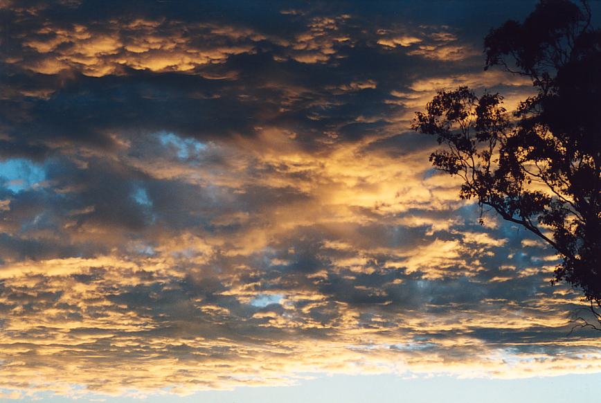 altocumulus altocumulus_cloud : Schofields, NSW   28 February 2003