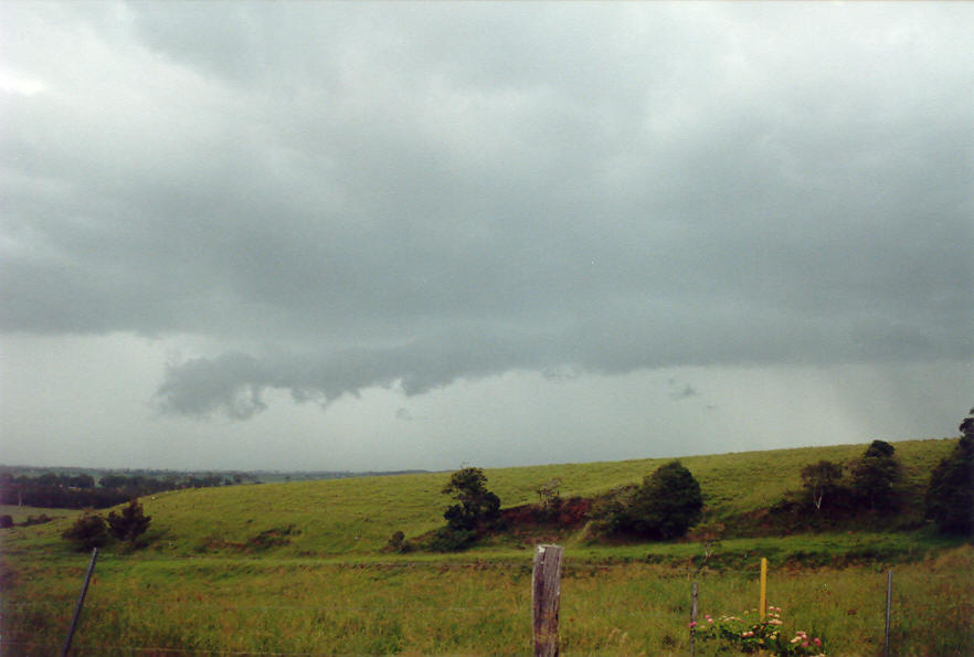 cumulonimbus thunderstorm_base : E of Casino, NSW   1 March 2003