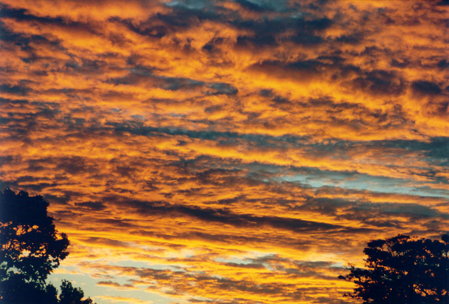 altocumulus altocumulus_cloud : McLeans Ridges, NSW   1 March 2003