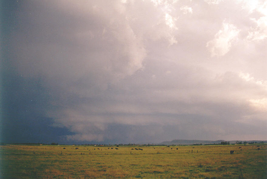 cumulonimbus thunderstorm_base : Woodburn, NSW   30 March 2003