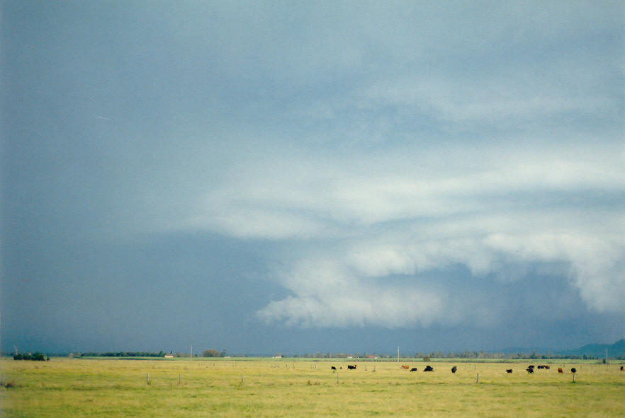 shelfcloud shelf_cloud : Woodburn, NSW   30 March 2003