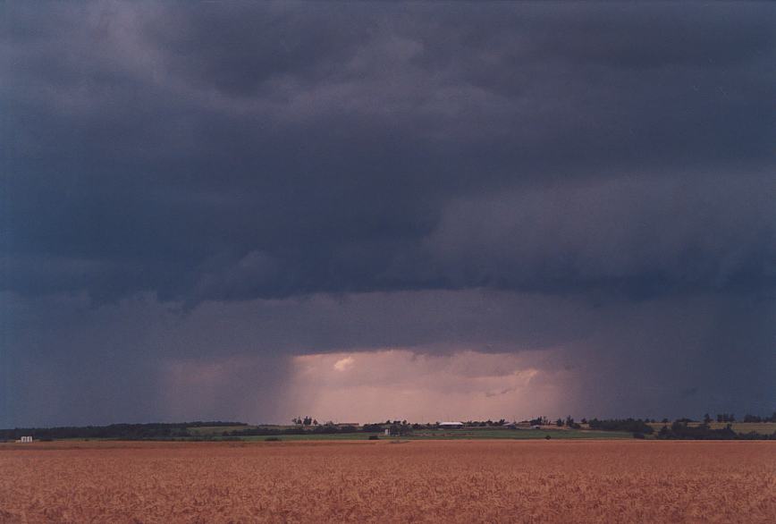 cumulonimbus thunderstorm_base : Hinton, Oklahoma, USA   10 June 2003