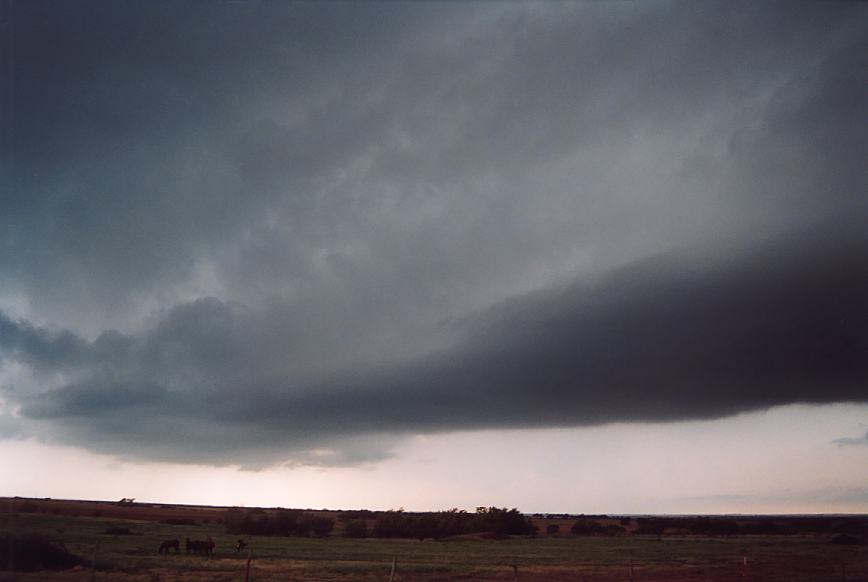 cumulonimbus thunderstorm_base : near Olney, Texas, USA   12 June 2003